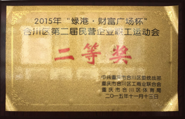 2015年合川區第二屆民營企業職工運動會